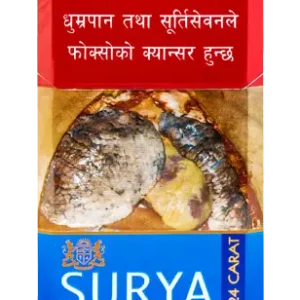 Surya 24 Carat Lights 20's