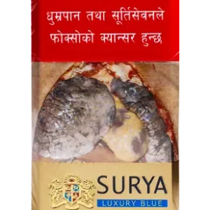 Surya Luxury Blue Lights