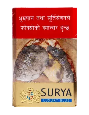 Surya Luxury Blue Lights