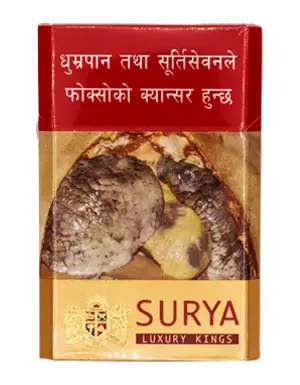 Surya Luxury Kings Red